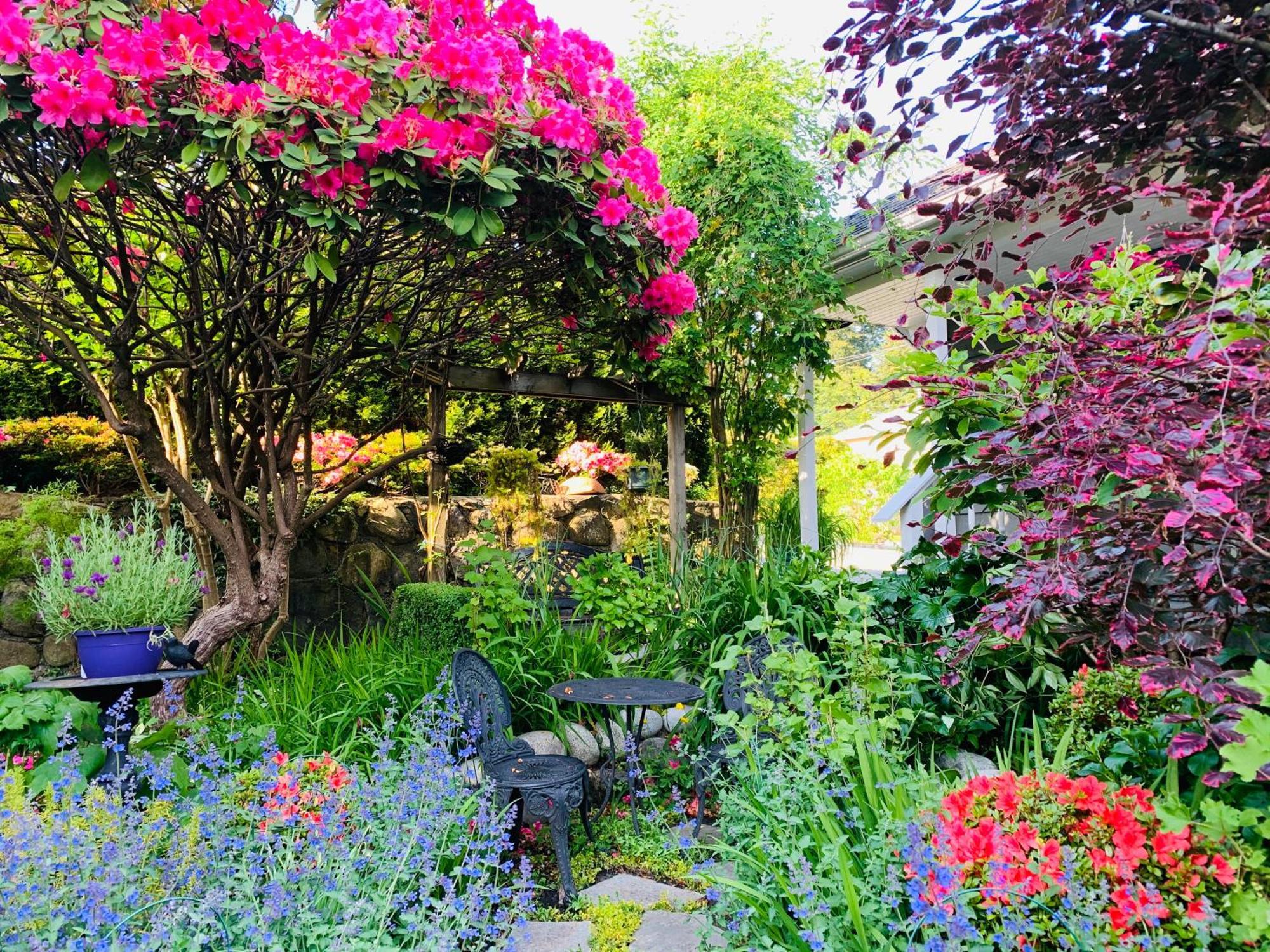 Crystal'S View Bed & Breakfast North Vancouver Esterno foto